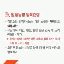 소격리농장 이미지