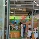 올라브 | 성수 포켓몬 30주년 파티 재도전 성공!아이와 함께한 올라브영 팝업 오픈런 후기