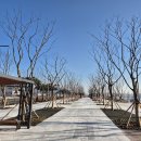 중앙공원 시민광장 이미지