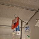 두손병원 | 안산 골절수술 두손병원 3주 입원 후기