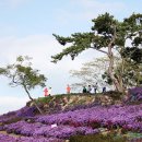 아스타축제 이미지