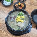 고향삼계탕 | 대구 동인동 중구청 보양식 내돈내산 맛집 고향삼계탕 추천