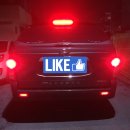 개밥그릇 이미지