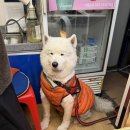 똘이구이촌 이미지