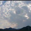 현서농장 이미지