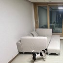 우형 | 올모 조야 페브릭 2인용 소파 실사용 후기 (좌형+우형 조합 꿀팁)