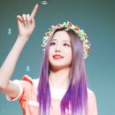 꼽슬이네 이미지