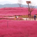 신소양체육공원1 이미지