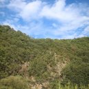 구수리 농장 이미지