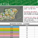 부암할인마트 네이버블로그