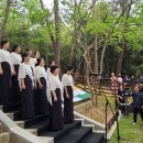 나야 카카오 검색결과