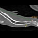우리집코코 이미지