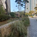 옥길산들초등학교3 | 옥길호반 vs 일루미스테이트(ft.행복한호반부동산)!