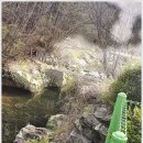 딩동댕애견스파풀빌라 이미지