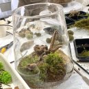 연덕로-2 | 창원 테라리움 원데이 단체클래스 후기