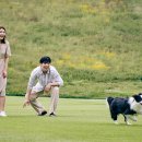 소노펫 동물병원 이미지