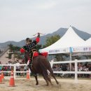 전북말산업복합센터 | 전북, '붉은 말의 해' 맞아 말산업 중심지로 뛴다