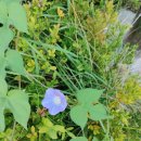 풍동가족한의원 이미지