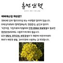 휴먼앤펫 이미지