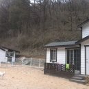 알로하도그 이미지