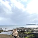 서쪽사계 | 제주 서쪽 아이랑 가볼만한곳 사계해안 후기 물때