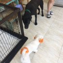 애니몰하우스 이미지