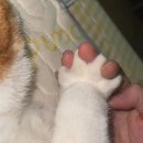 빛 소리 Ⅱ 이미지