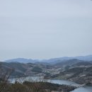 로하스D.S