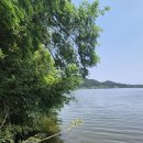 영산강로 이미지