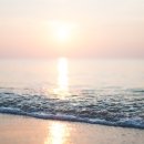 바다에 누워 이미지