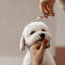 닥터헬씨케어