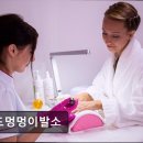 멍멍미용실 네이버블로그