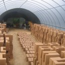 소나무황토집 이미지