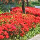 한수공인중개사사무소 이미지