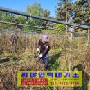 군서농장 이미지