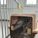 동물보육원 광주신촌동지부 이미지