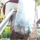 벌이네민박 이미지