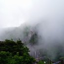 서해홍탁 이미지