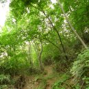 걸어서 천지까지 11 구간＜곡성군 죽곡면-구례군 구례읍-곡성군 고달면 17.5km＞ 이미지