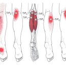 BODY愛(바디애) 이미지