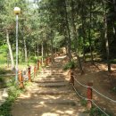 무릉도원올레 이미지