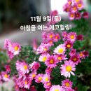 11월 9일(토)아침을 여는 건강한 에코힐링(글 전체보기는 글주소 클릭!) 이미지