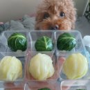 오엠동물병원 이미지