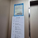 아쿠아펠리스 수영장 | 부산 광안리 호텔아쿠아펠리스 디럭스 패밀리트윈 수영장 후기 꿀팁 포함