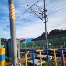 신기마을 | 강릉꼬막비빔밥 연화마을 꼬막비빔밥 다녀온 솔직한후기