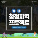 청정프로젝트