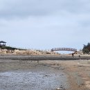 Earthing 이미지