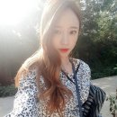 하니 티브이데일리