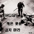 대학가요제 금지곡...바윗돌 이미지