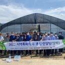 합천양파 이미지